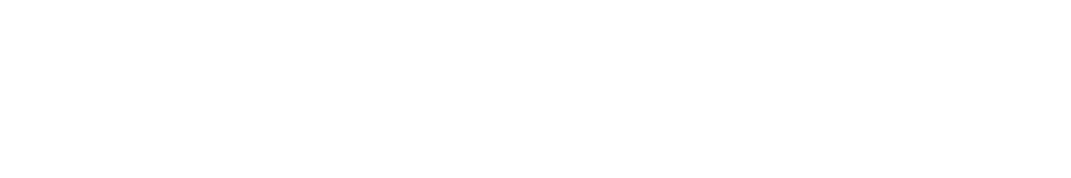 Wordpress Membership Development